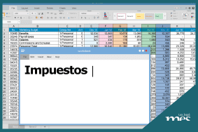 impuestos (3)